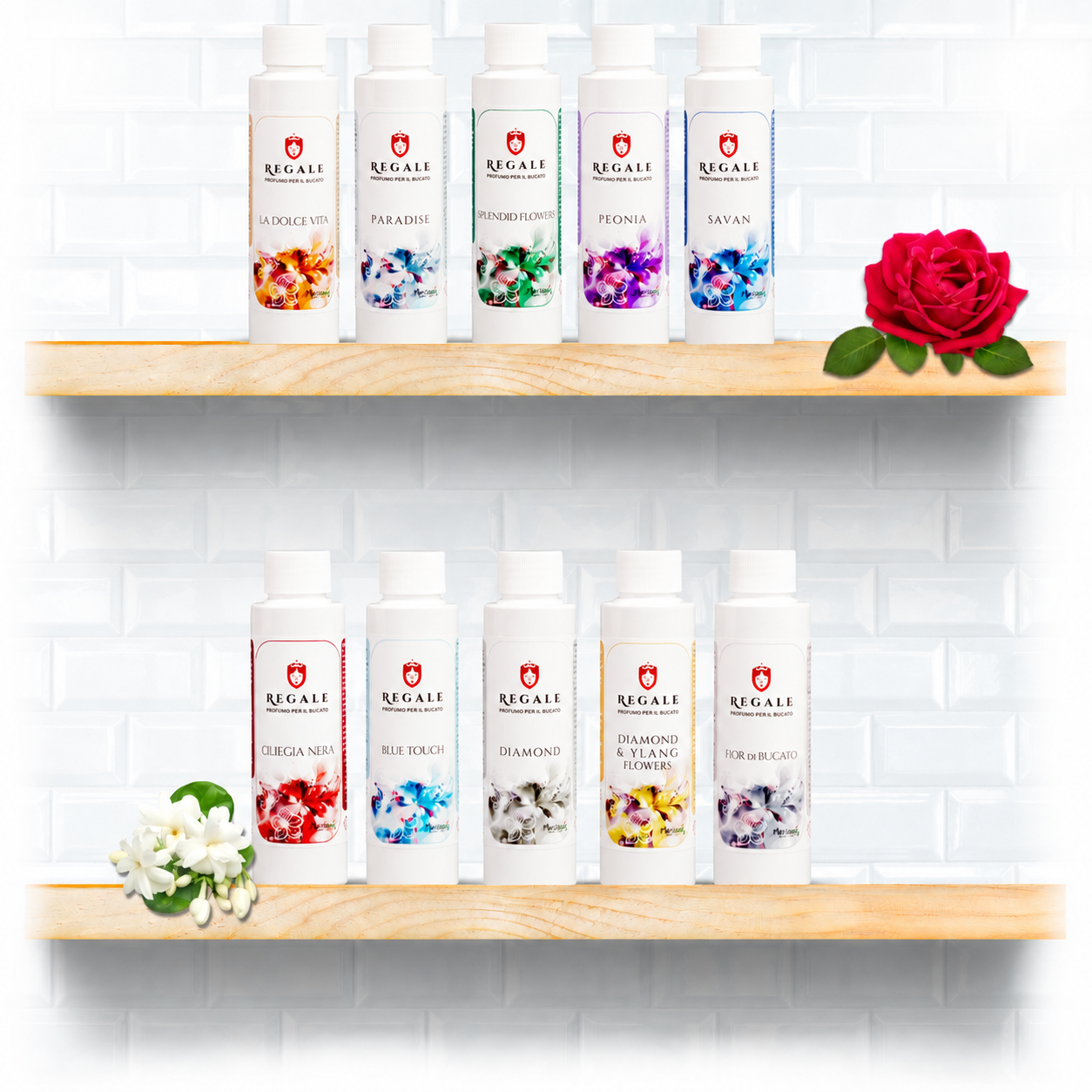 Kit Degustazione | 10 Essenze da 100ml